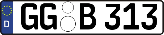 GG-B313
