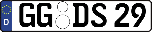 GG-DS29