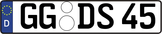 GG-DS45