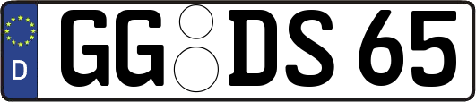 GG-DS65