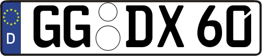 GG-DX60