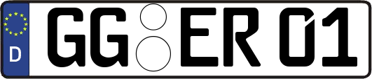 GG-ER01