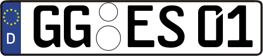 GG-ES01