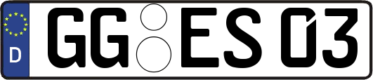 GG-ES03