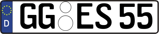GG-ES55