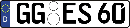 GG-ES60