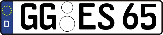 GG-ES65