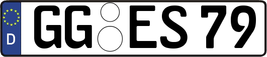 GG-ES79