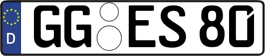 GG-ES80