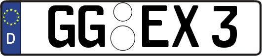 GG-EX3
