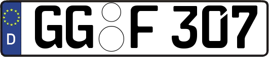 GG-F307