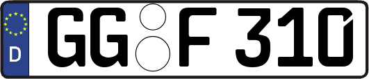 GG-F310