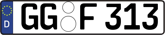 GG-F313