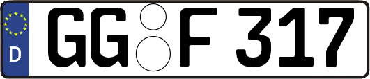 GG-F317