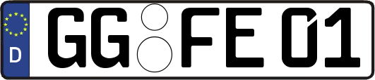 GG-FE01