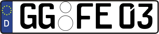 GG-FE03