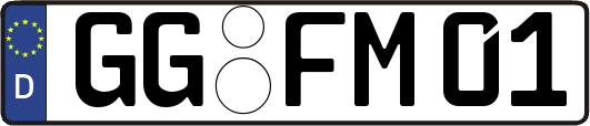 GG-FM01