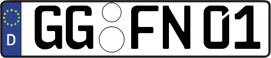 GG-FN01