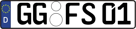 GG-FS01