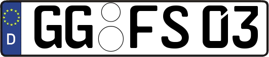 GG-FS03