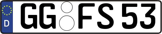 GG-FS53