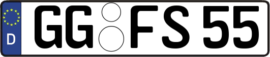GG-FS55
