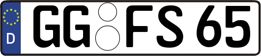 GG-FS65
