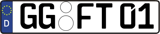 GG-FT01