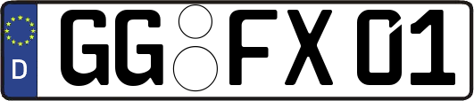 GG-FX01