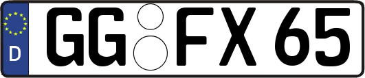 GG-FX65