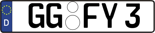 GG-FY3