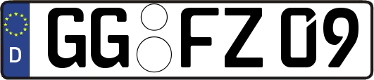 GG-FZ09