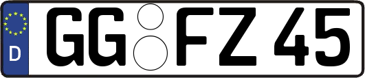 GG-FZ45