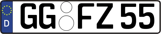 GG-FZ55
