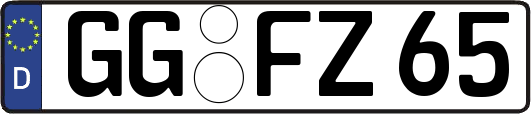GG-FZ65