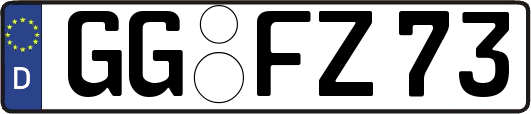 GG-FZ73