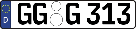 GG-G313