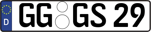 GG-GS29