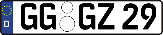 GG-GZ29