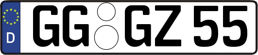 GG-GZ55