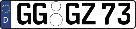 GG-GZ73