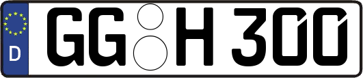 GG-H300