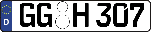 GG-H307