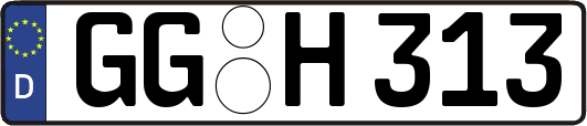 GG-H313
