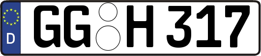 GG-H317