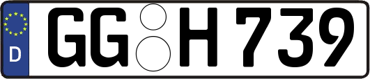 GG-H739