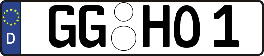 GG-HO1