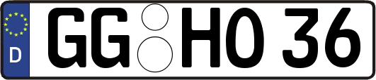 GG-HO36