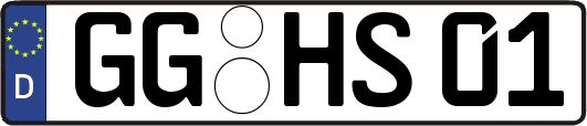 GG-HS01