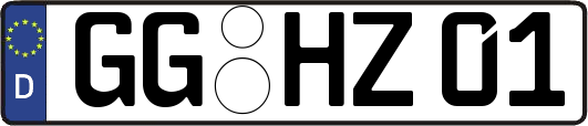 GG-HZ01